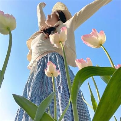 螳螂小子粤语